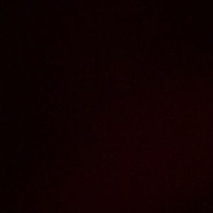 Meet your Posher, Tamara